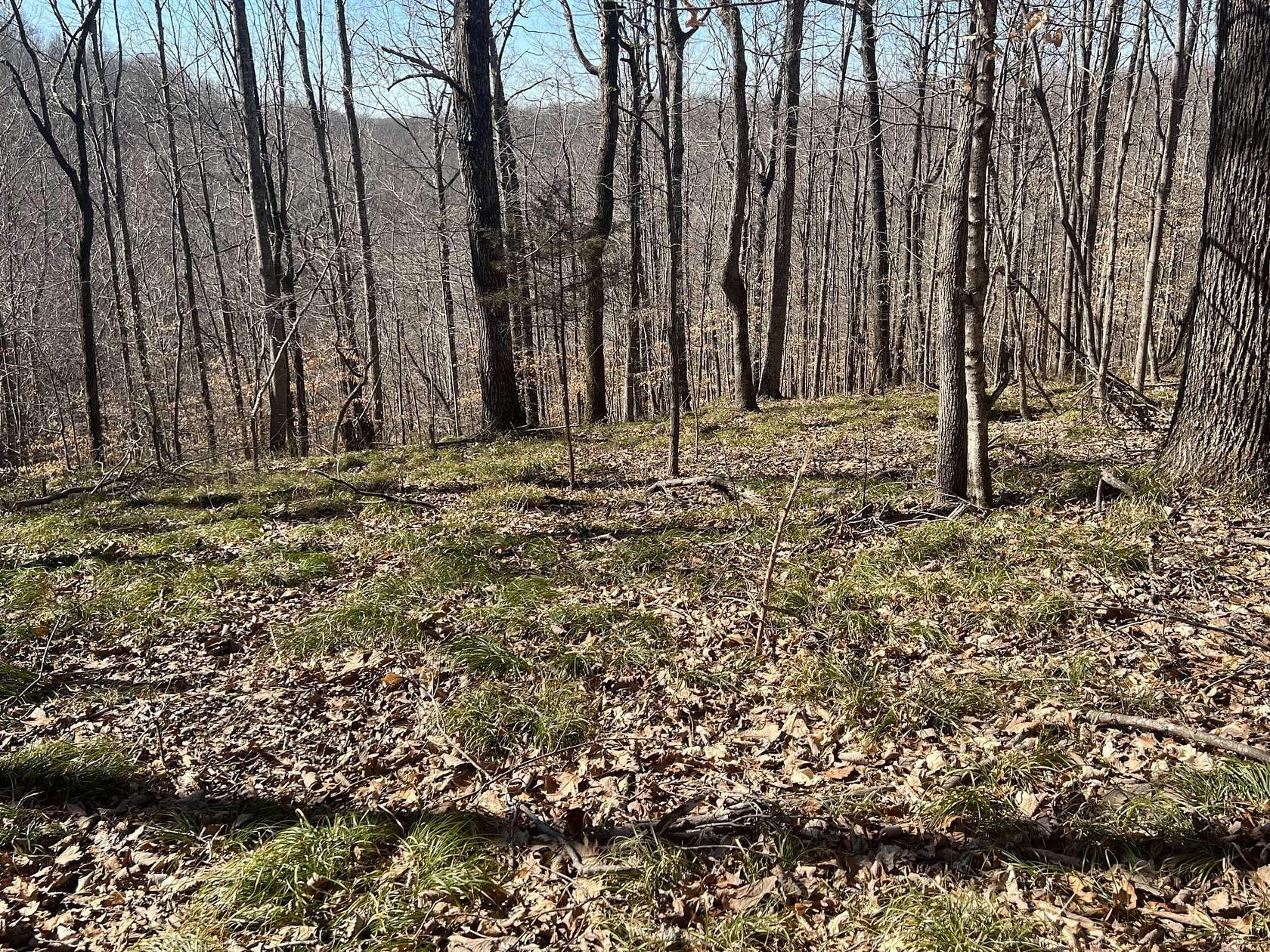 12 Acres of Recreational Land for Sale in Ashland City, Tennessee