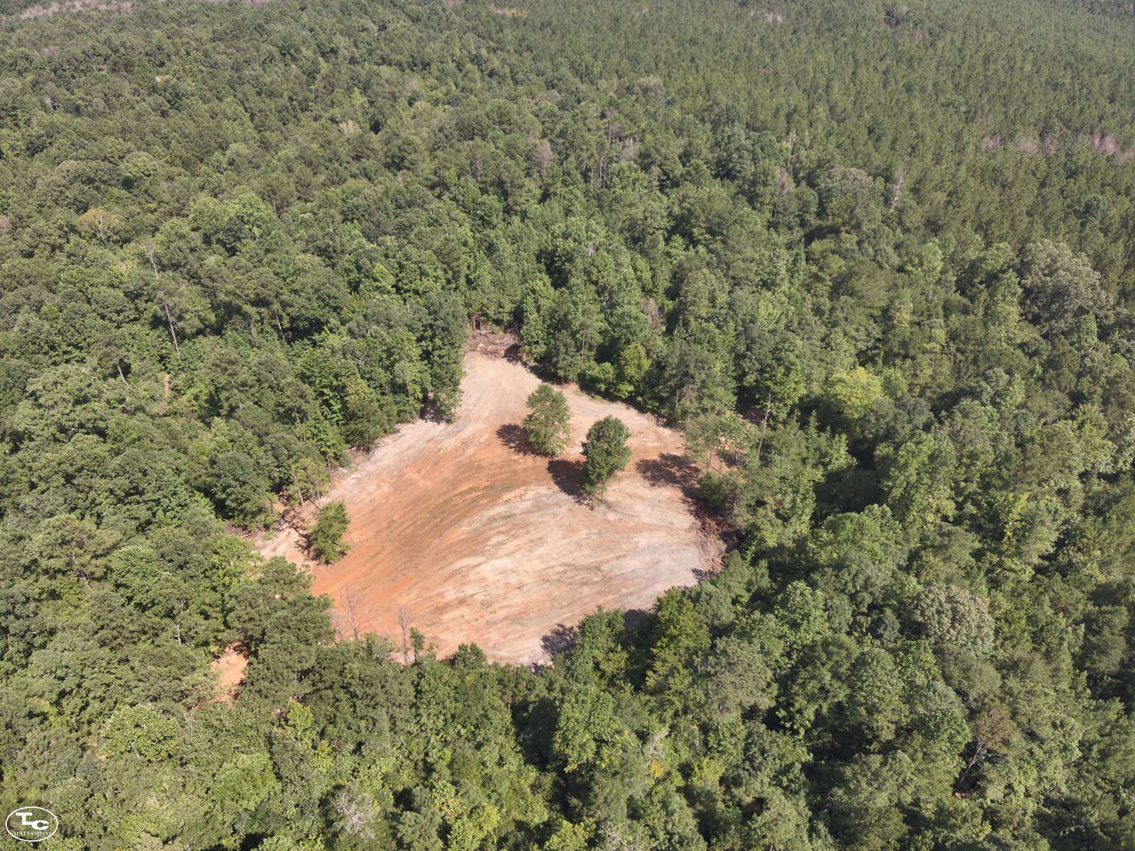 118 Acres of Recreational Land for Sale in Eutaw, Alabama