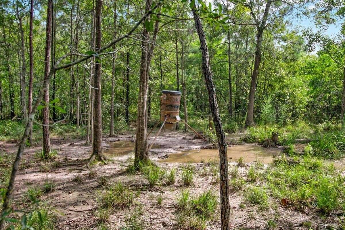 79.9 Acres of Recreational & Residential Land for Sale in Buna, Texas