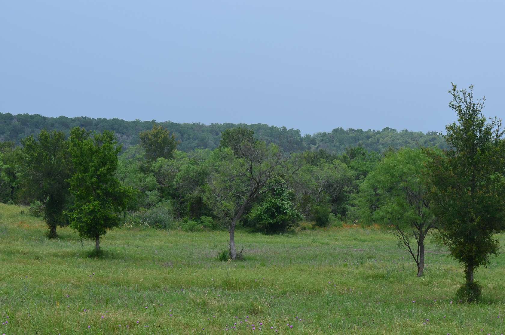 87 Acres of Land for Sale in Santo, Texas