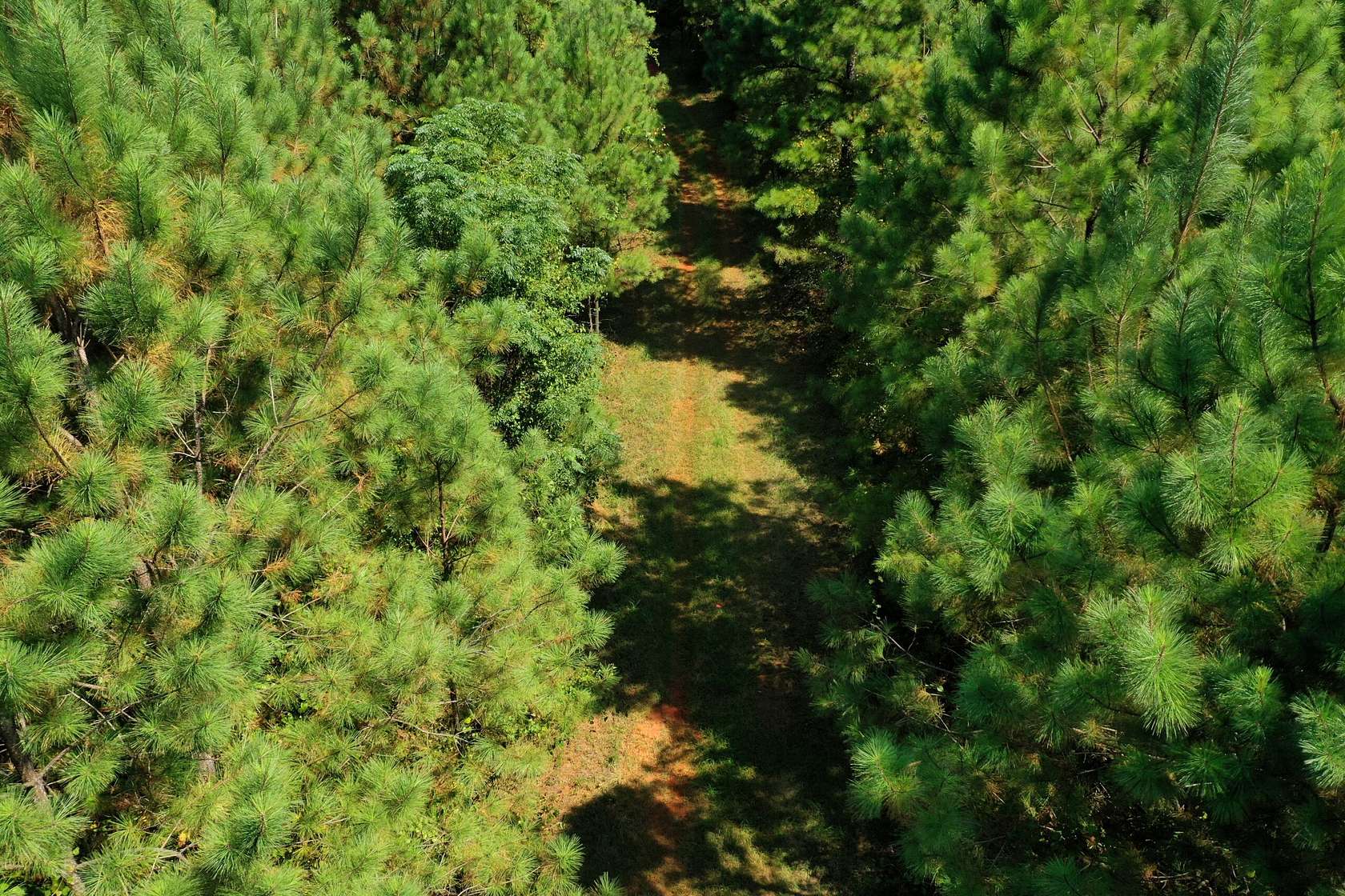 50 Acres of Recreational Land for Sale in Franklin, Georgia