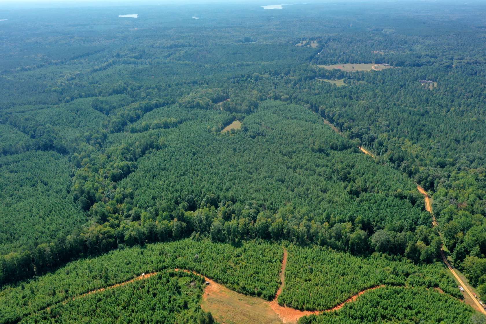 50 Acres of Recreational Land for Sale in Franklin, Georgia