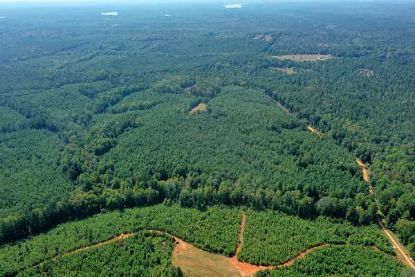 50 Acres of Recreational Land for Sale in Franklin, Georgia