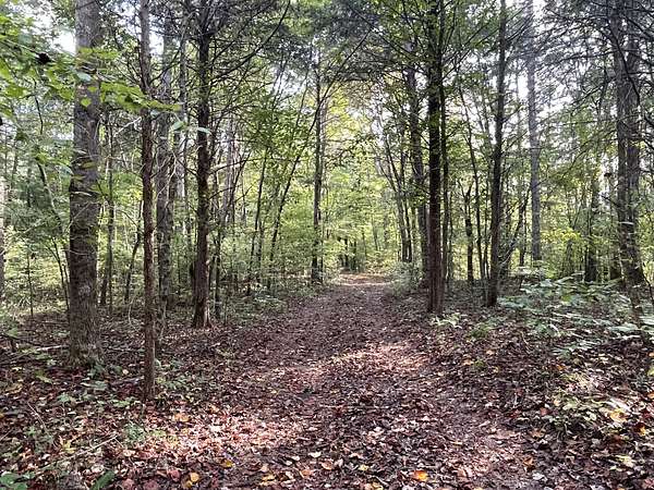 12 Acres of Recreational Land for Sale in Centerville, Tennessee