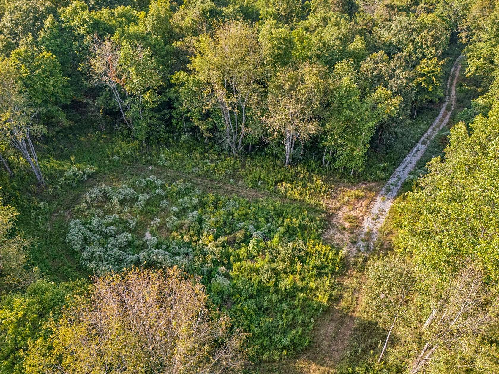 10 Acres of Land for Sale in Springfield, Tennessee