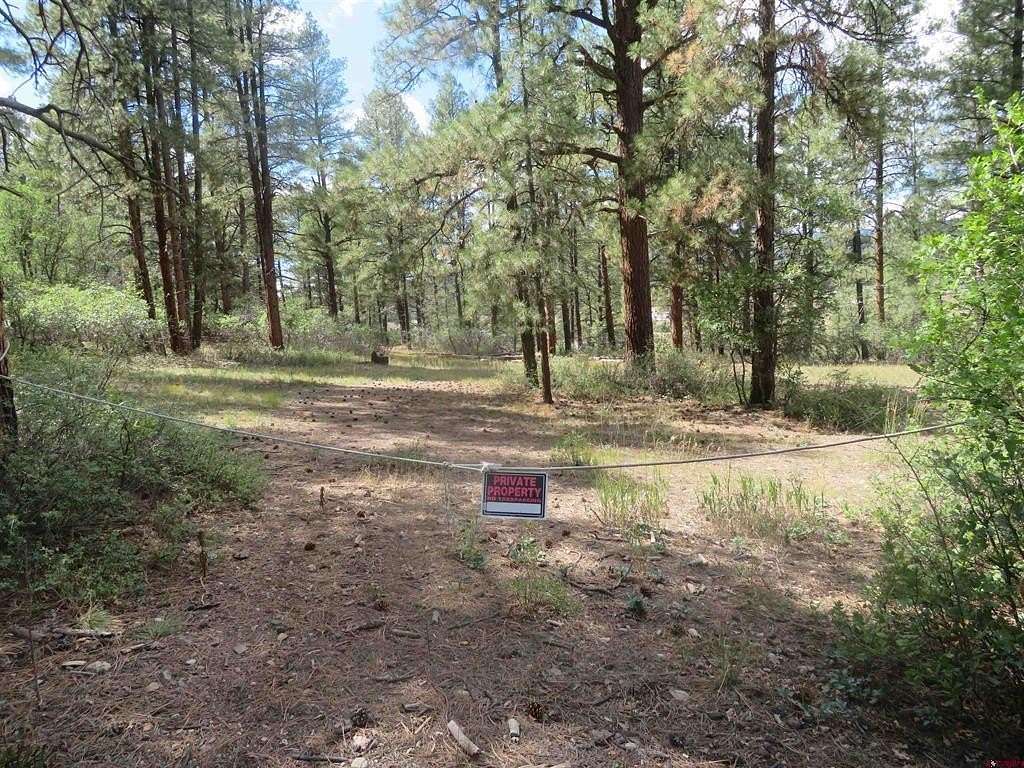 1.1 Acres of Residential Land for Sale in Pagosa Springs, Colorado