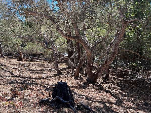 0.1 Acres of Land for Sale in Cambria, California