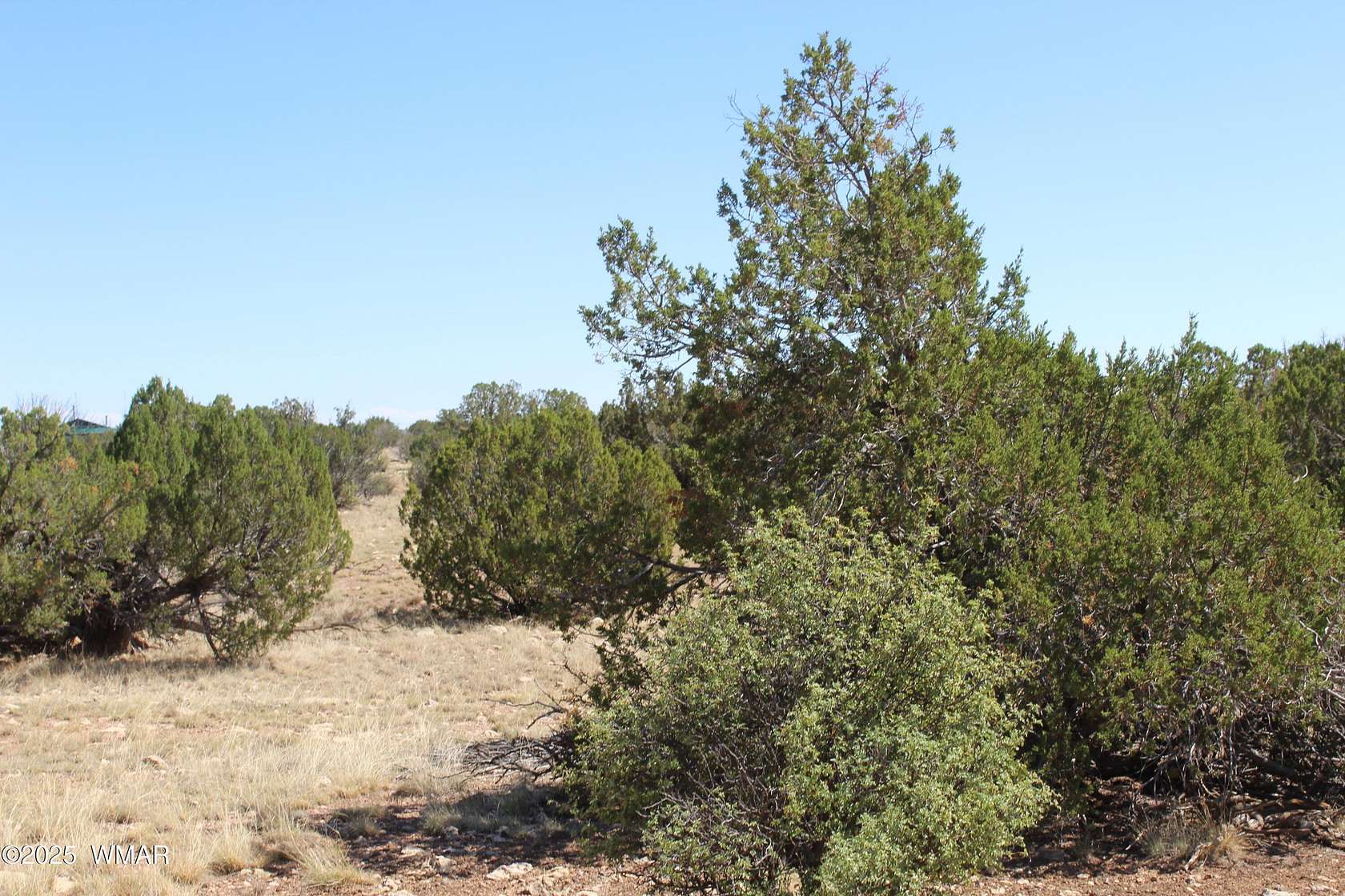 10 Acres of Residential Land for Sale in Heber, Arizona