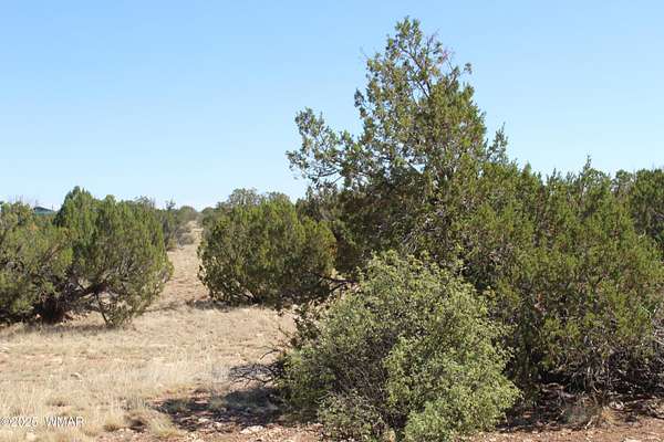 10 Acres of Residential Land for Sale in Heber, Arizona