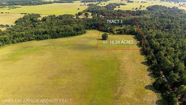 16.4 Acres of Land for Sale in Brownsboro, Texas