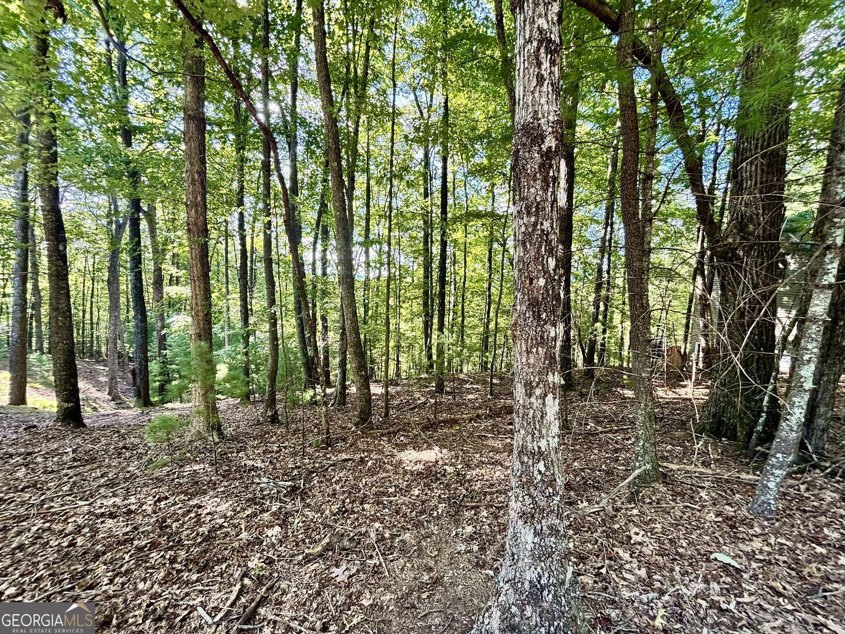 0.55 Acres of Residential Land for Sale in Ellijay, Georgia