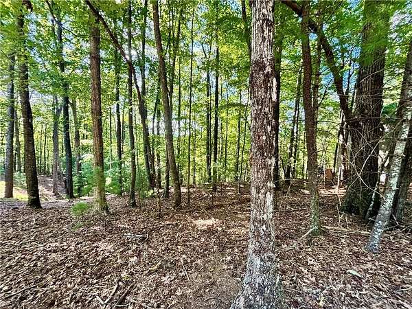 0.55 Acres of Residential Land for Sale in Ellijay, Georgia
