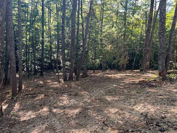 1 Acre of Land for Sale in Zoe, Kentucky
