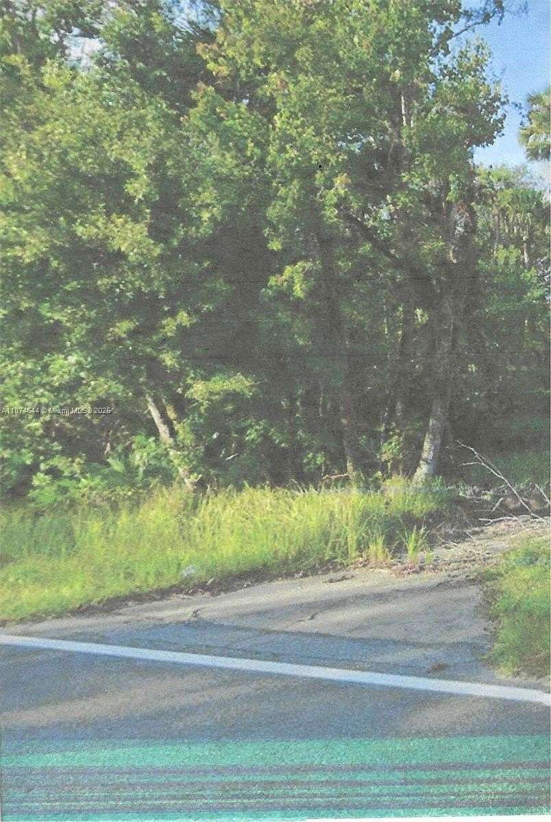 4.74 Acres of Residential Land for Sale in Davenport, Florida