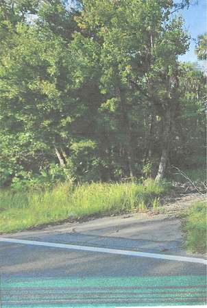 4.74 Acres of Residential Land for Sale in Davenport, Florida