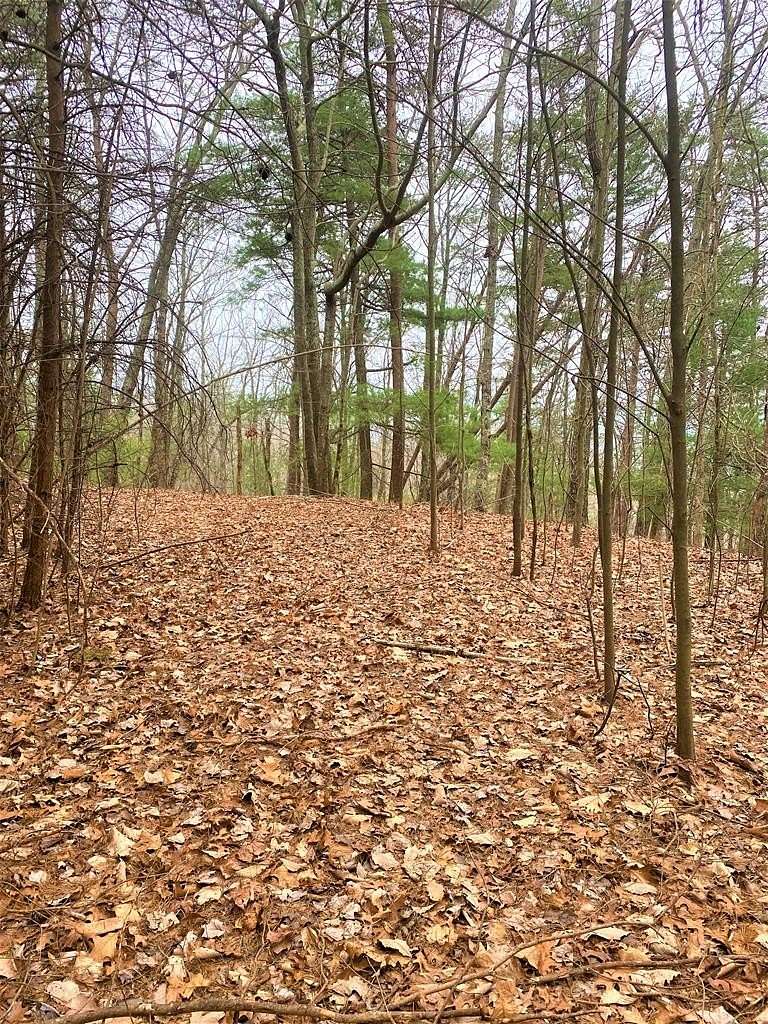 10 Acres of Land for Sale in Chatsworth, Georgia