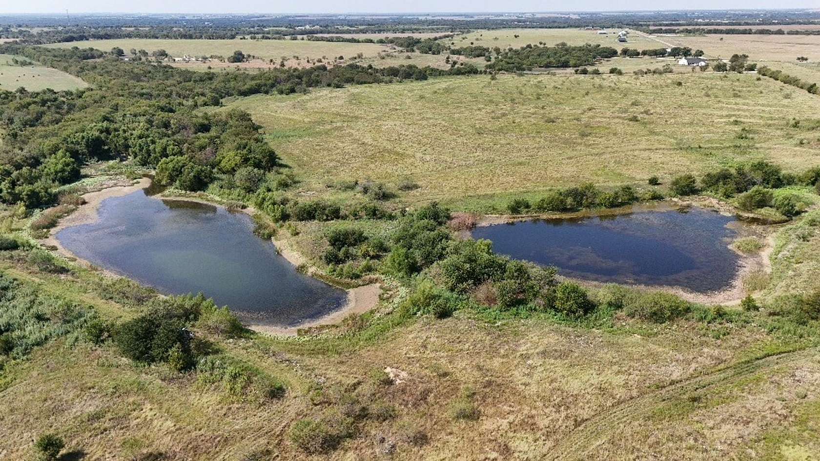 220 Acres of Recreational Land & Farm for Sale in Grandview, Texas