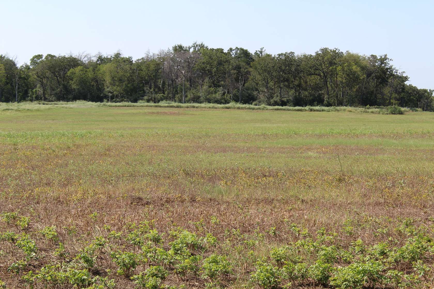 3.45 Acres of Land for Sale in Cameron, Texas