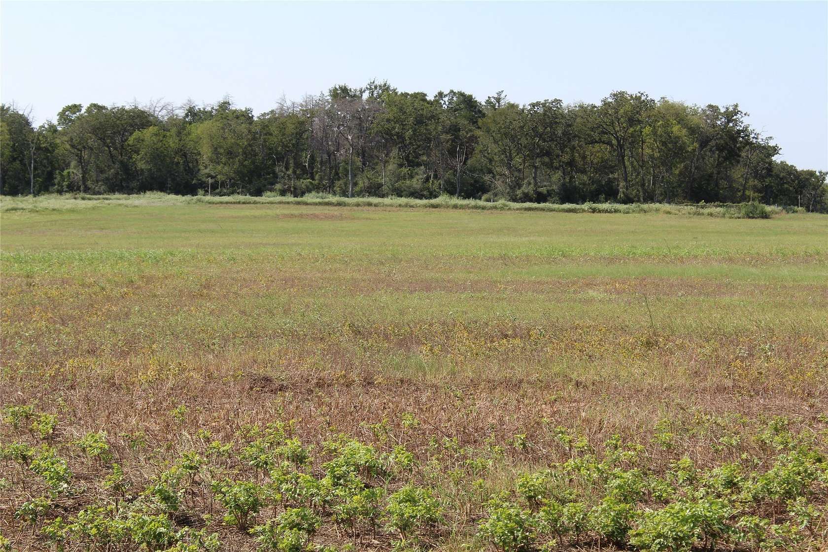 3.45 Acres of Residential Land for Sale in Cameron, Texas
