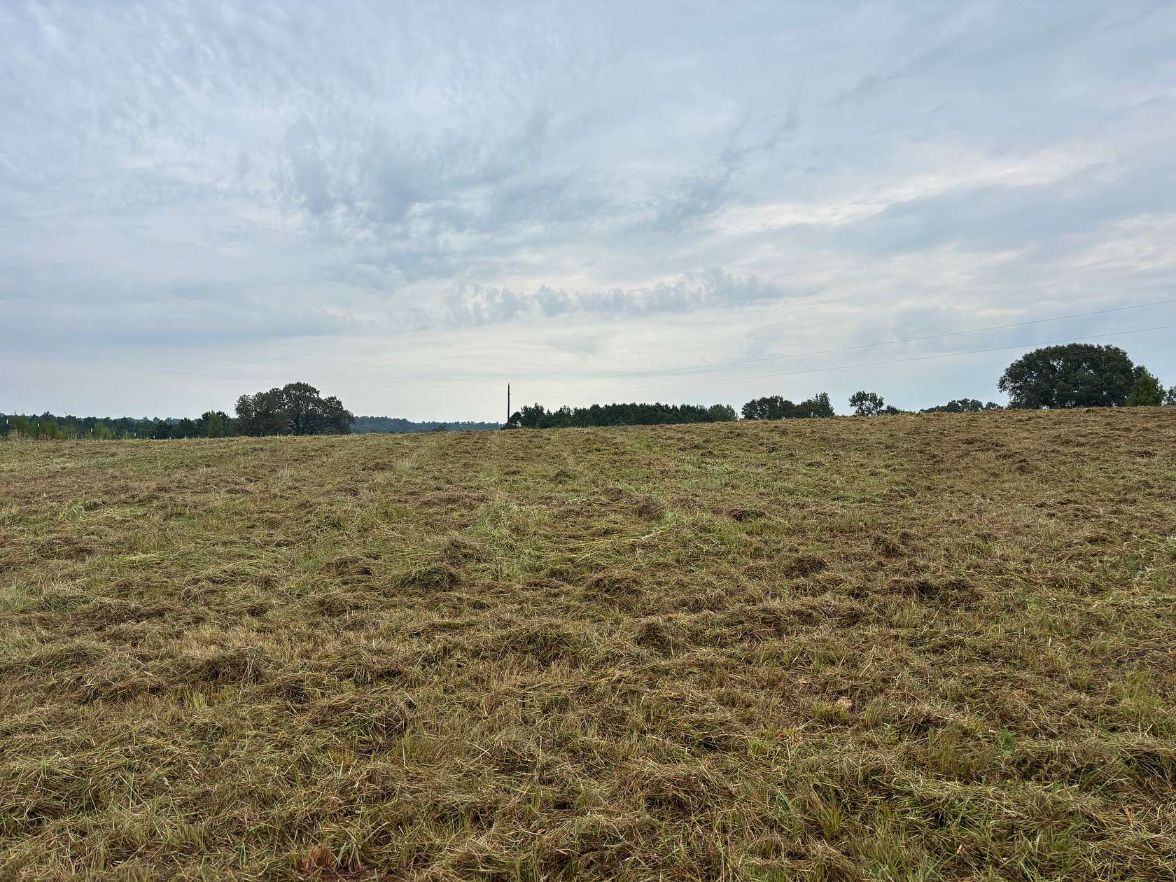 12.9 Acres of Land for Sale in Linden, Texas