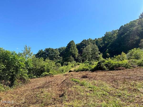 100 Acres of Land for Sale in Sneedville, Tennessee
