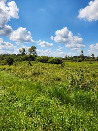 18 Acres of Recreational Land & Farm for Sale in Cambria, Wisconsin
