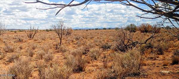20.6 Acres of Recreational Land for Sale in Snowflake, Arizona