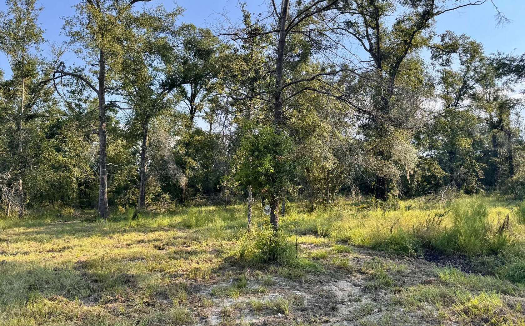 40 Acres of Agricultural Land for Sale in Jasper, Florida
