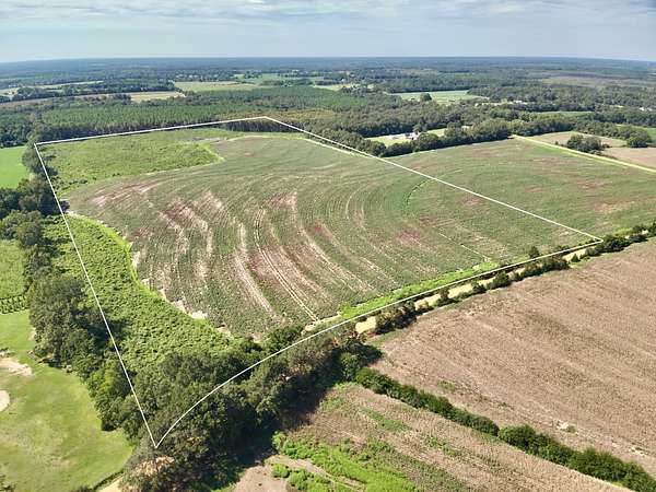 73 Acres of Land for Sale in Malvern, Alabama