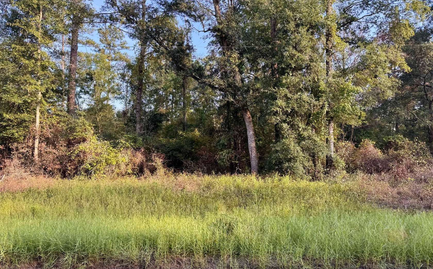 1.57 Acres of Residential Land for Sale in Jasper, Florida