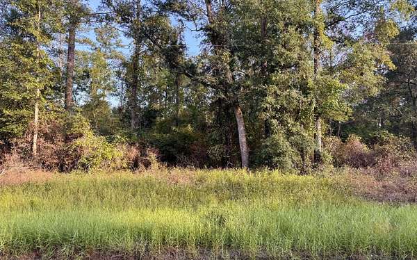 1.57 Acres of Residential Land for Sale in Jasper, Florida