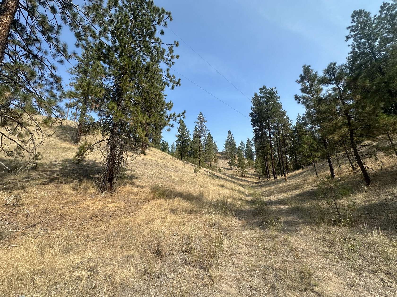 23.6 Acres of Recreational Land for Sale in Ford, Washington