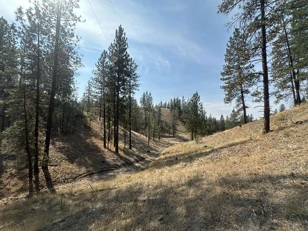 23.6 Acres of Recreational Land for Sale in Ford, Washington