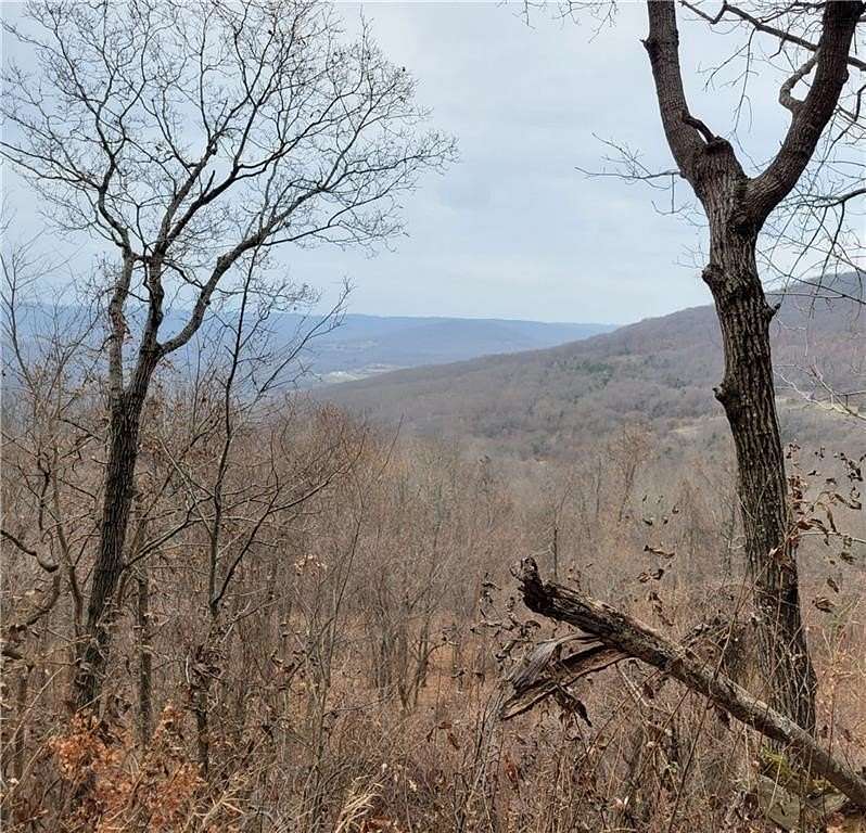 40 Acres of Recreational Land for Sale in Elkins, Arkansas