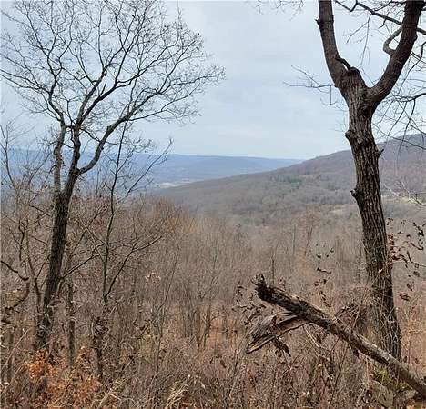 40 Acres of Recreational Land for Sale in Elkins, Arkansas