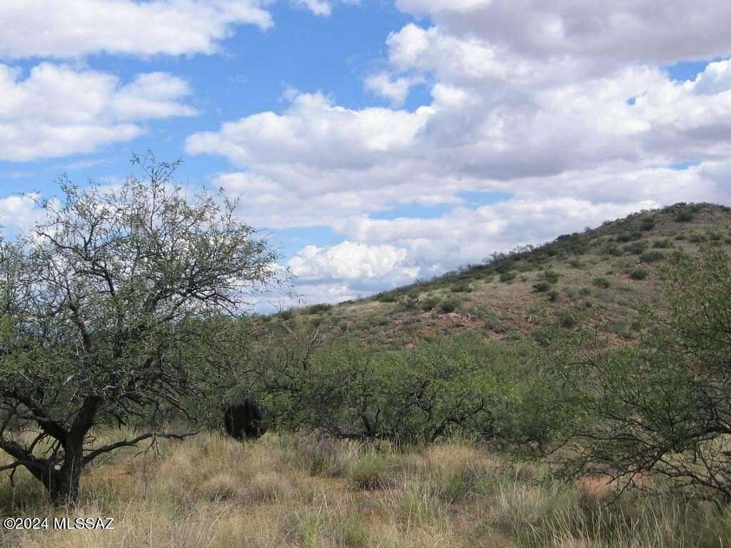 38.6 Acres of Land for Sale in Elfrida, Arizona
