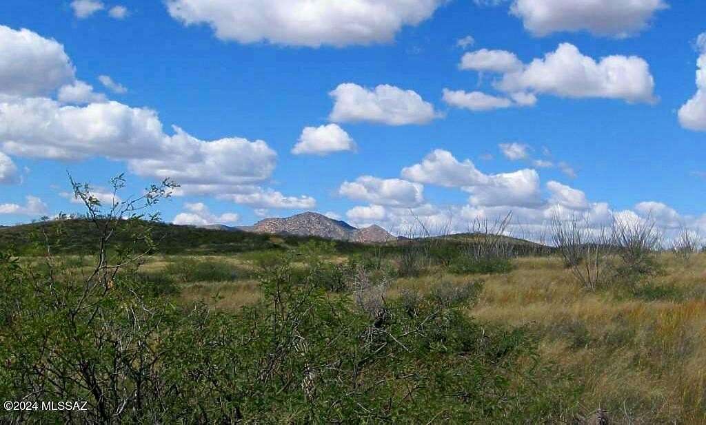 38.6 Acres of Land for Sale in Elfrida, Arizona