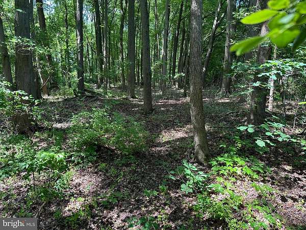 0.7 Acres of Land for Sale in Stevensville, Maryland