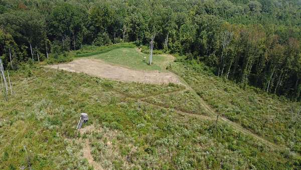 40 Acres of Recreational Land & Farm for Sale in Camden, Mississippi