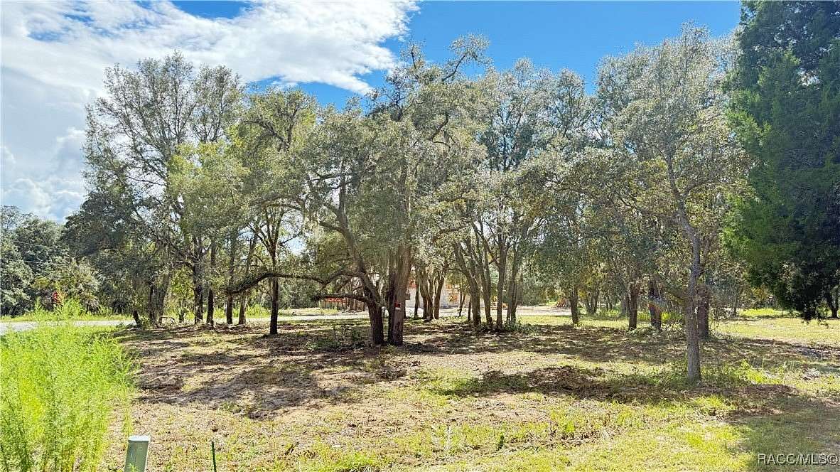 1.17 Acres of Residential Land for Sale in Hernando, Florida