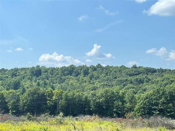 20 Acres of Land for Sale in Vestal, New York