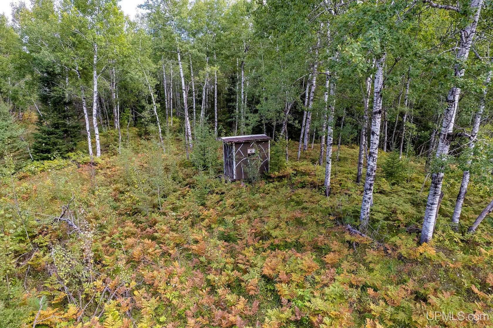 40 Acres of Recreational Land for Sale in Perronville, Michigan