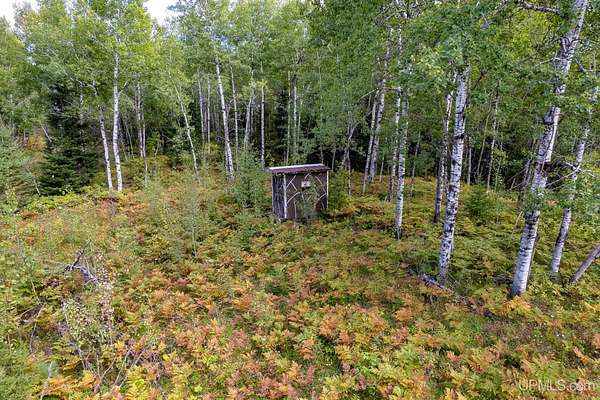 40 Acres of Recreational Land for Sale in Perronville, Michigan