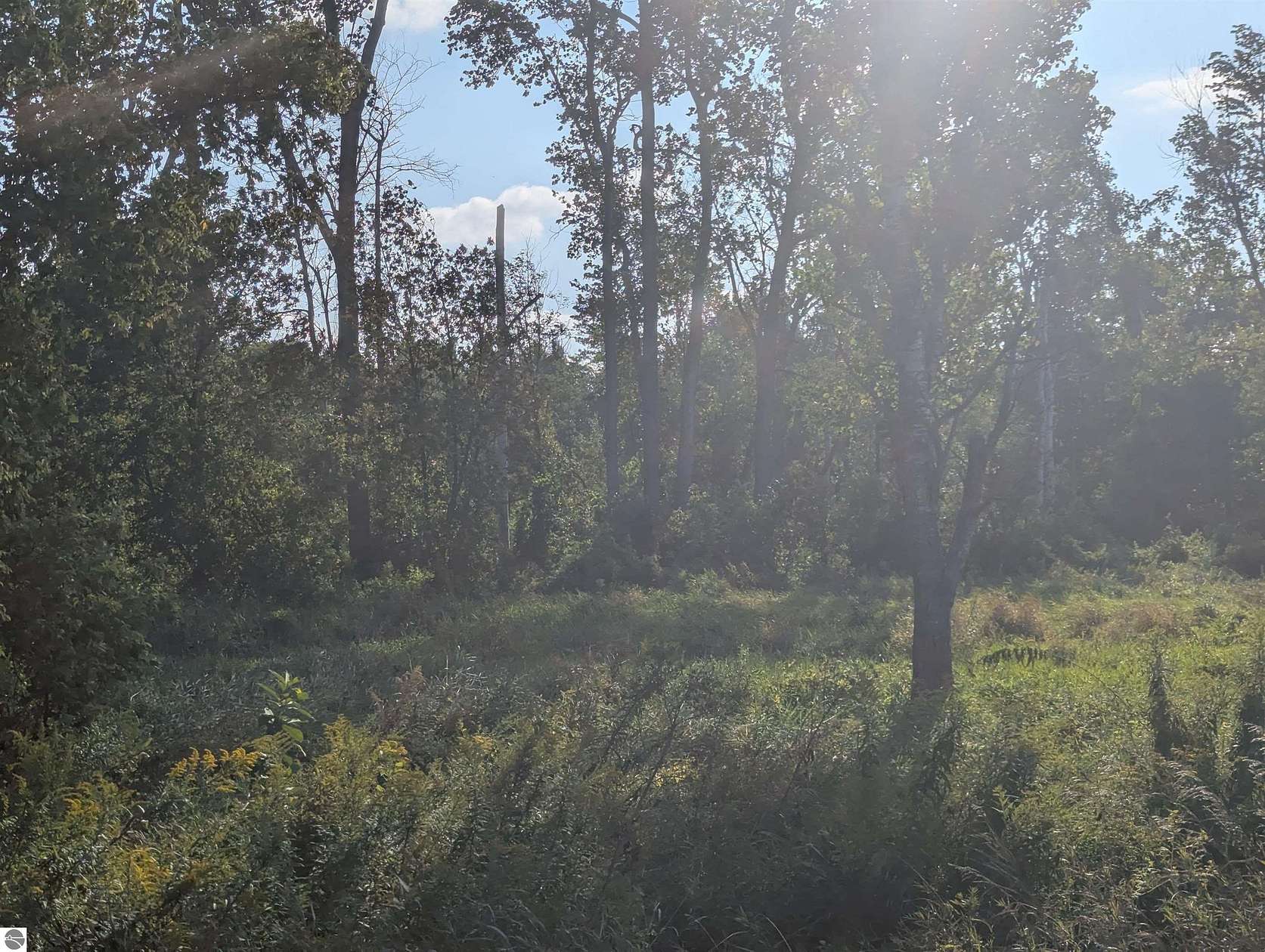 20 Acres of Recreational Land for Sale in Tawas City, Michigan