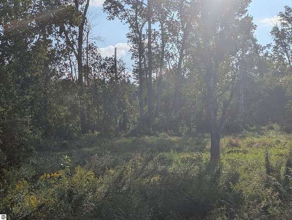 20 Acres of Recreational Land for Sale in Tawas City, Michigan