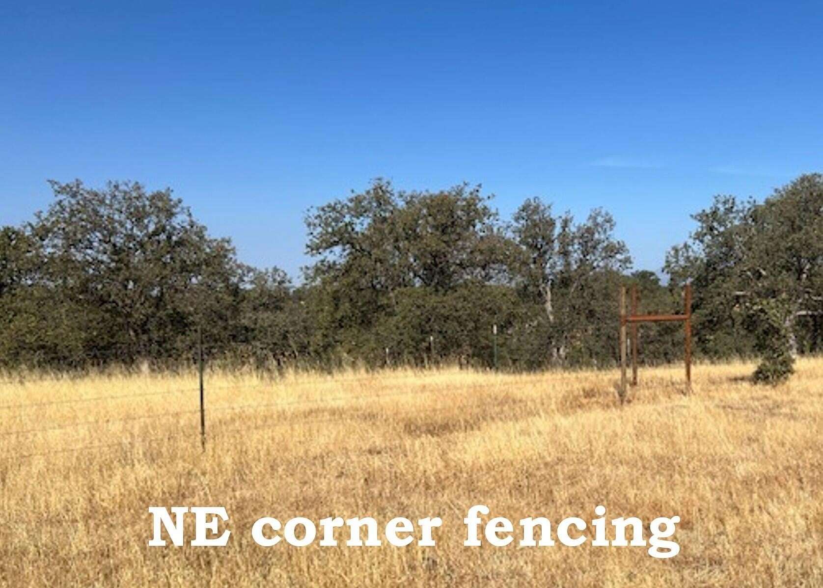 40 Acres of Agricultural Land for Sale in Cottonwood, California