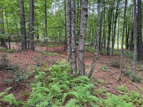 8.46 Acres of Residential Land for Sale in Blairsville, Georgia