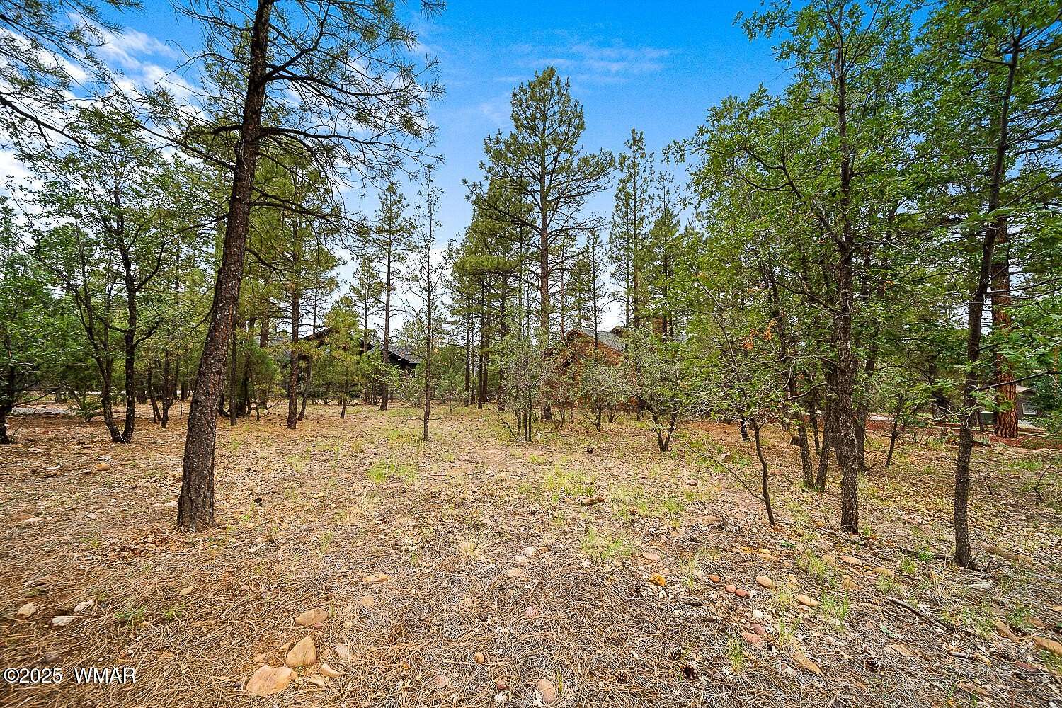 0.24 Acres of Residential Land for Sale in Show Low, Arizona