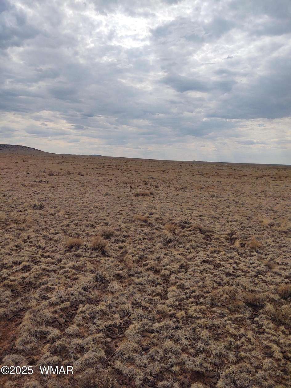 0.98 Acres of Residential Land for Sale in Concho, Arizona