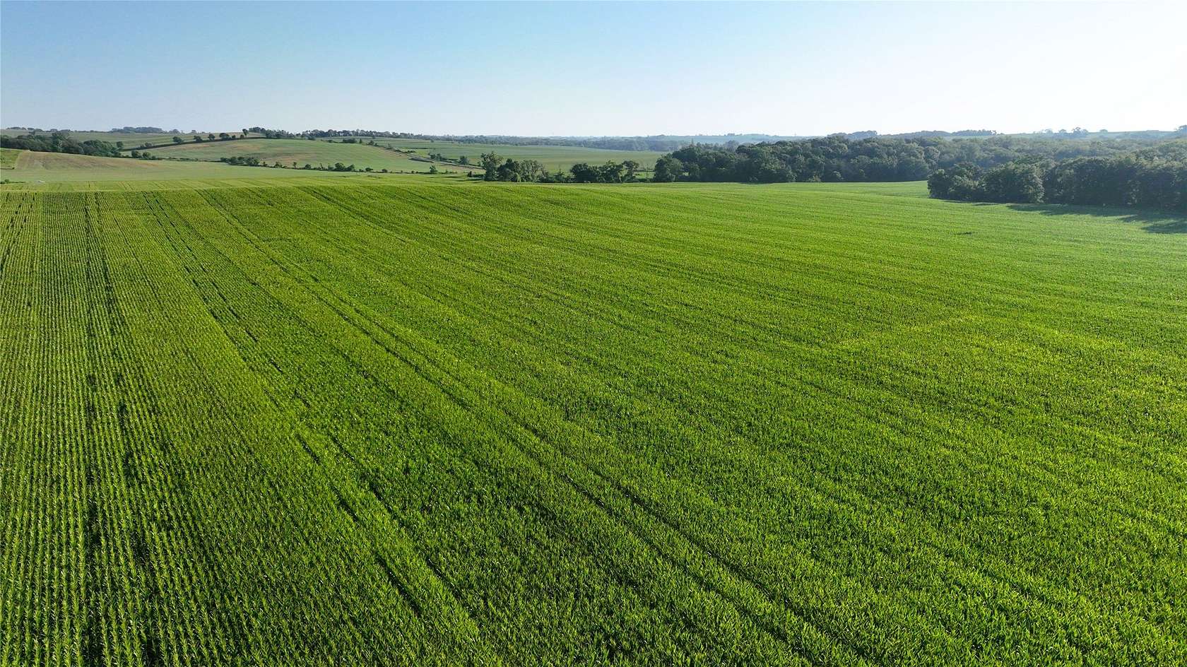 100 Acres of Agricultural Land for Auction in Edna Township, Iowa